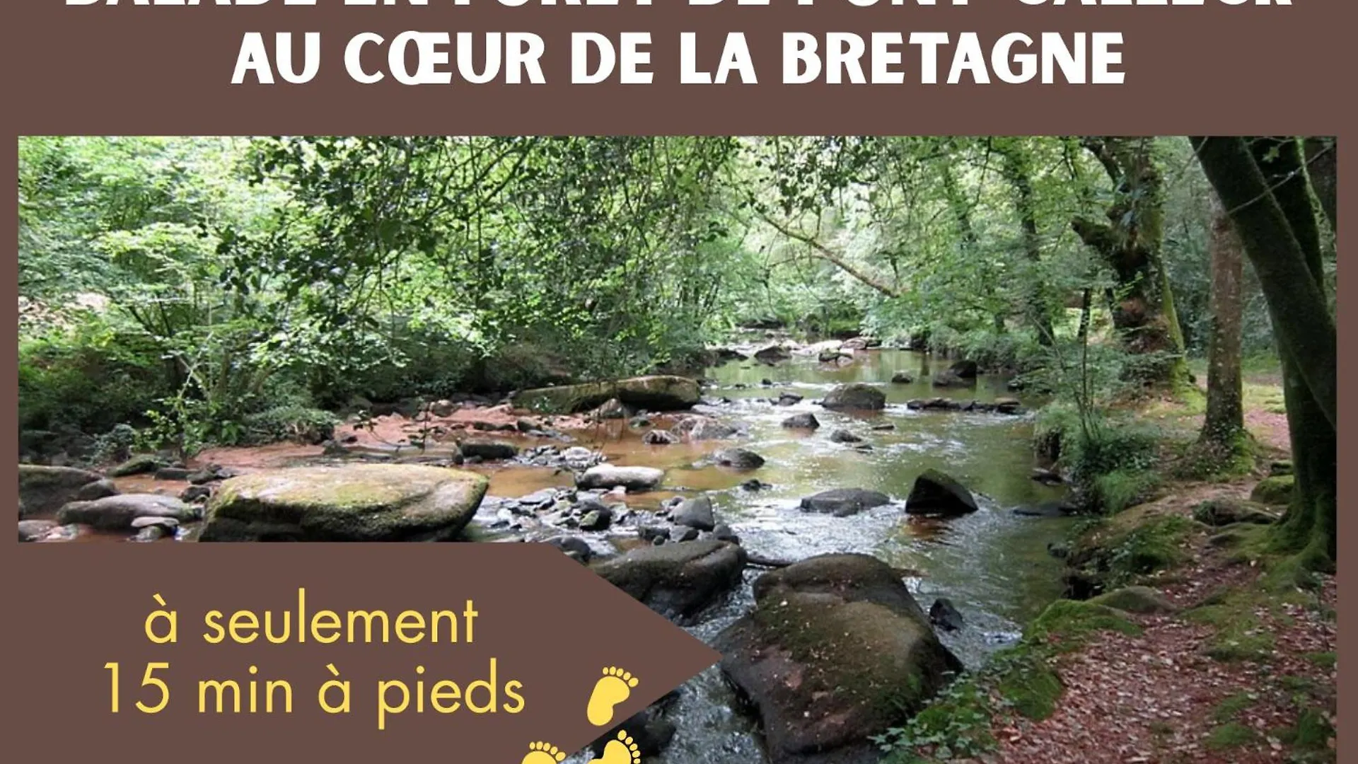 Appartement Charmant T2 Plouay
